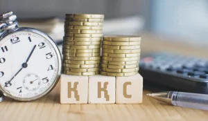 Жаңа Салық кодексі: Республикалық бюджет жоспары артығымен орындалды