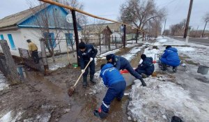 Көктемгі қауіпке қарсы қам