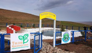Жамбыл облысында «Мөлдір бұлақ» акциясы кең көлемде өтті