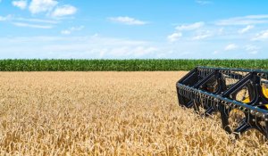 Ерте қаржыландыру егіс науқанына қалай әсер етеді