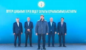 Қызылорда облысында жүгері дақылын терең өңдеу зауытының құрылысы басталды