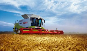 Қазақстан мол пайда әкелетін дақылдарды егуге басымдық бермек – Ауыл шаруашылығы министрлігі