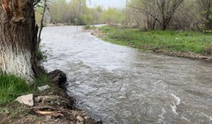 Түркістан облысында тағы бір бала суға кетті