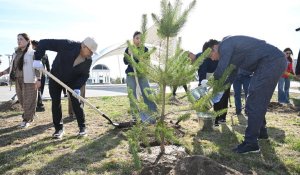 «Таза Қазақстан»: Жетісу облысында жалпыоблыстық сенбілік аясында 8 мың ағаш егілді