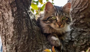 Павлодарда бір күнде екі адам биіктен құлап қаза тапты