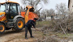 Таза Қазақстан: 40 мыңға жуық ақтөбелік сенбіліктерге қатысты