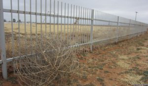 Шымкентте 1,7 млрд теңге бос жатқан жерге бөлінген