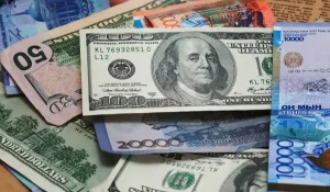 Доллар арзандаса да, дүкендегі баға неге сол күйінде қалады: Министрлік себебін атады