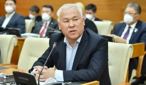 «Халықты алдамасын»: антиквар қару әкелген шетелдіктер жайлы айтқан Мұрат Әбенов ІІМ-ді сынға алды