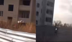 «Добын алмақ болған»: Теміртауда үш баланы тоқ соғып, ауруханаға түсті