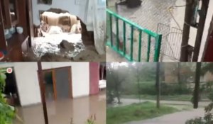 Кентауда толассыз жауыннан кейін үйлерді су басты