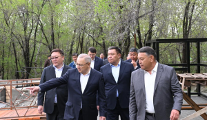 «Таза Қазақстан»: Жетісу облысындағы «Қойтас» эко-саябағы 20 гектарға дейін ұлғаяды