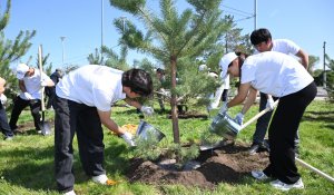 «Жасыл желек» республикалық акциясы: Жетісуда 8 мыңнан астам ағаш отырғызылды