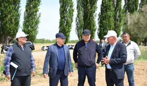 Жетісуда шаруашылықтар егістікке жаңа агротехнологияларды енгізуде