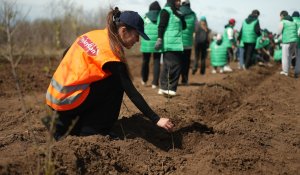 FlyArystan «Halyk» қорының орманды қалпына келтіру жобасын қолдады