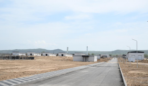 Жетісуда тазы және төбет ит тұқымдарын өсіру орталығы салынып жатыр