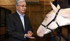 Тоқаев әр жылдары сыйға тартылған тұлпарлардың күтімін көріп қайтты