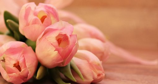 8 наурызға арналған құттықтаулар мен тілектер