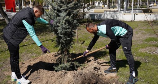 Абай облысында футболшылар «Таза Қазақстан» акциясы аясында ағаш отырғызуға қатысты