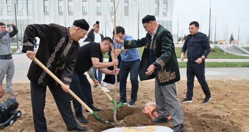 Шымкентте Тазару күнінде бір мыңнан астам түп ағаш егілді