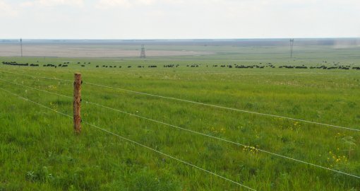 Жетісуда шаруа қожалық басшысы 108 үлескердің жерін сатып жіберген