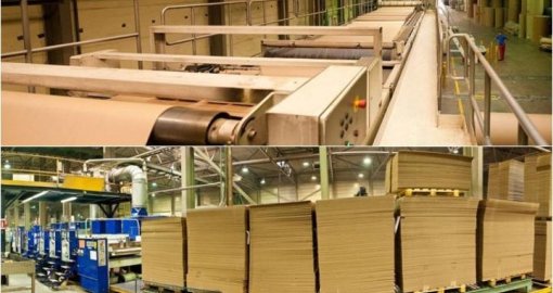 Елімізде картон мен қағаз өндіретін жаңа зауыт салынбақ