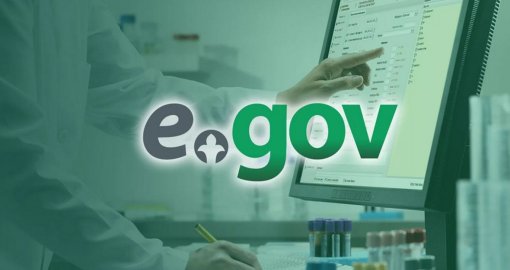 Egov мобильді қосымшасында жаңа қызмет пайда болды