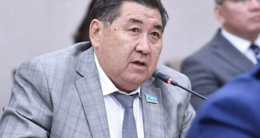 Назарбаев мемлекеттік басқару жүйесінен толықтай шеттетілген – Ермұрат Бапи