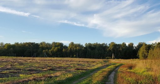 Еліміздің үш мегаполисінде ауа райы қандай болады