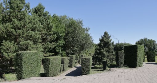 Жетісу облысында үш жылда саябақ, сквер, аллея түрінде 18 жасыл аймақ жасалды