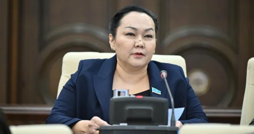 «Көпбалалы аналарға қатысты әділетсіз саясатқа қарсымын - Мәжіліс депутаты