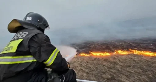 Алматы облысындағы алапат өрттен үш адамның мәйіті табылды