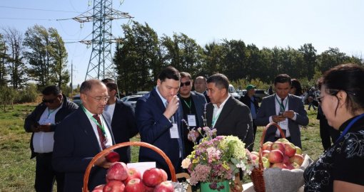 Талғарда дәстүрлі «Бақ күні» өткізілді: әйгілі апорт қайта жанданады