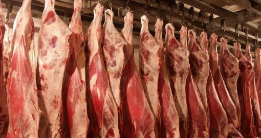 Сиыр еті жеткілікті, мәселе бағада: мән-жайды АШМ маманы түсіндірді