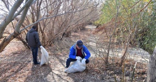 Атырауда экологиялық акция аясында 4 мыңнан аса тал егілді