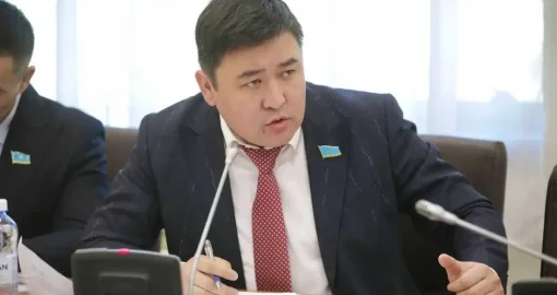 Нартай Аралбайұлы қоғамды дүрліктірген пранкерлерге заңмен тыйым салуды ұсынды