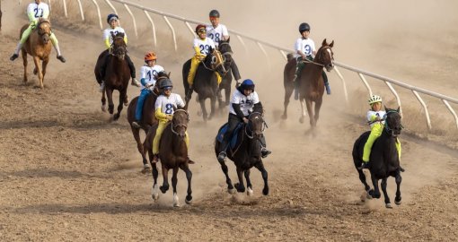 Жетісуда 26 мыңнан астам адам ұлттық спорт түрлерімен айналысады