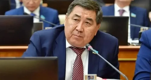 Астанадағы аналардың митингін белгілі бір күштер ұйымдастырған – Бапи