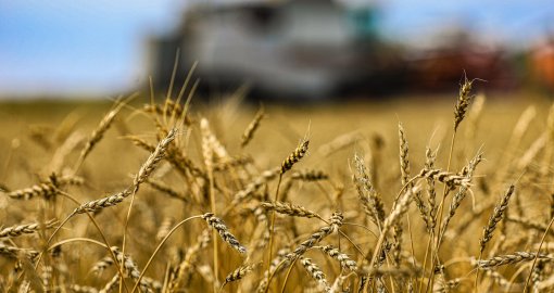 Ақтөбе облысында ауыл шаруашылығын қолдауға 15 млрд теңге бөлінді