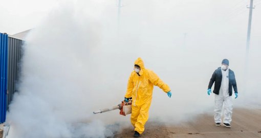 Бейбарыс ауылдық округіндегі кеміргіштерге қатысты жағдай бақылауда