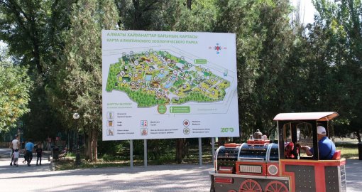 Алматыдағы зообақты кең көлемде жаңғырту жоспарланып отыр