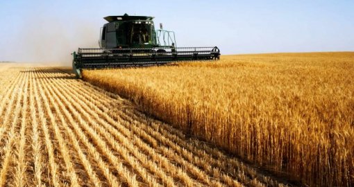 Ауыл аманаты: Ұлытауда ауыл шаруашылығына биыл 700 млн теңге бөлініп, 100 жоба қаржыландырылды