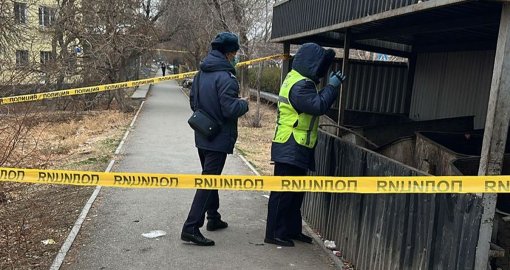 Кентауда жаңа туған нәрестенің мәйіті қоқыс жәшігінен табылды