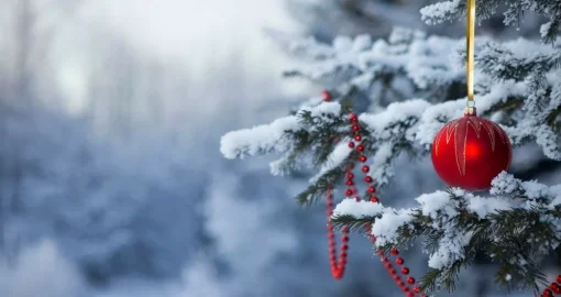 Шырша құру қазақ жеріне қашан келді