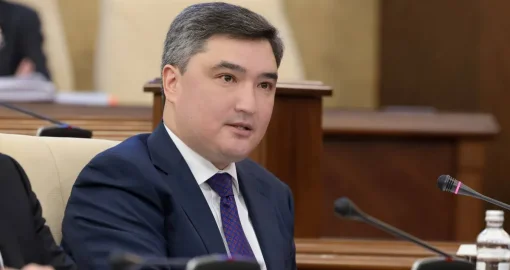 Бектенов жекеменшік мектептер мен клиникаларға бюджеттен ақша бөлуді қайта қарауды тапсырды