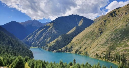 Алатау бөктері мен Бурабай: 800 мың гектар жер мемлекет меншігіне қайтарылды