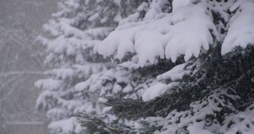 Елімізде –40 градусқа дейін аяз күтіледі