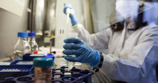 Нипах вирусына байланысты Қазақстан шекарасында бақылау күшейтілді