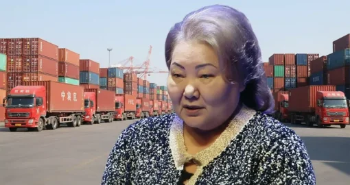 Анипа Назарбаеваның компаниясы мемлекетке қанша салық қарыз