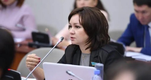 «Тегін» деген сөз қайда? Жаңа Конституцияда медицина мен білім жайлы баптан қате кетті ме?